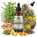 Lemon Balm (Concentrate / high-potency) Tincture (Melissa officinalis)