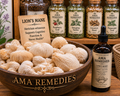 Lion's Mane (Medicinal Mushroom) Tincture (Hericium erinaceus)