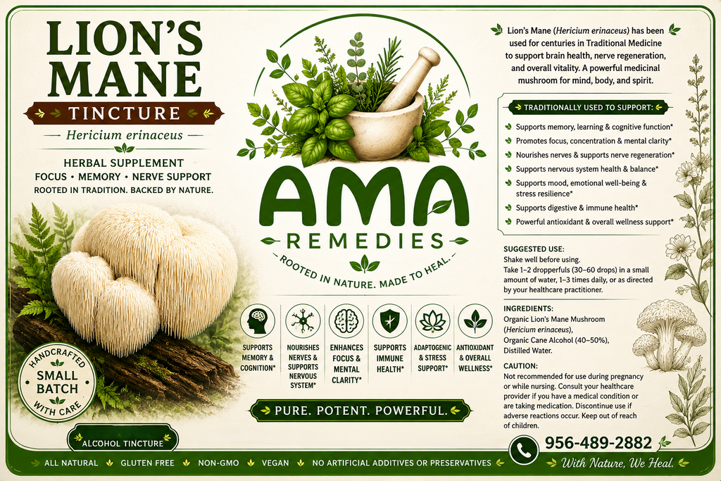 Lion's Mane (Medicinal Mushroom) Tincture (Hericium erinaceus)