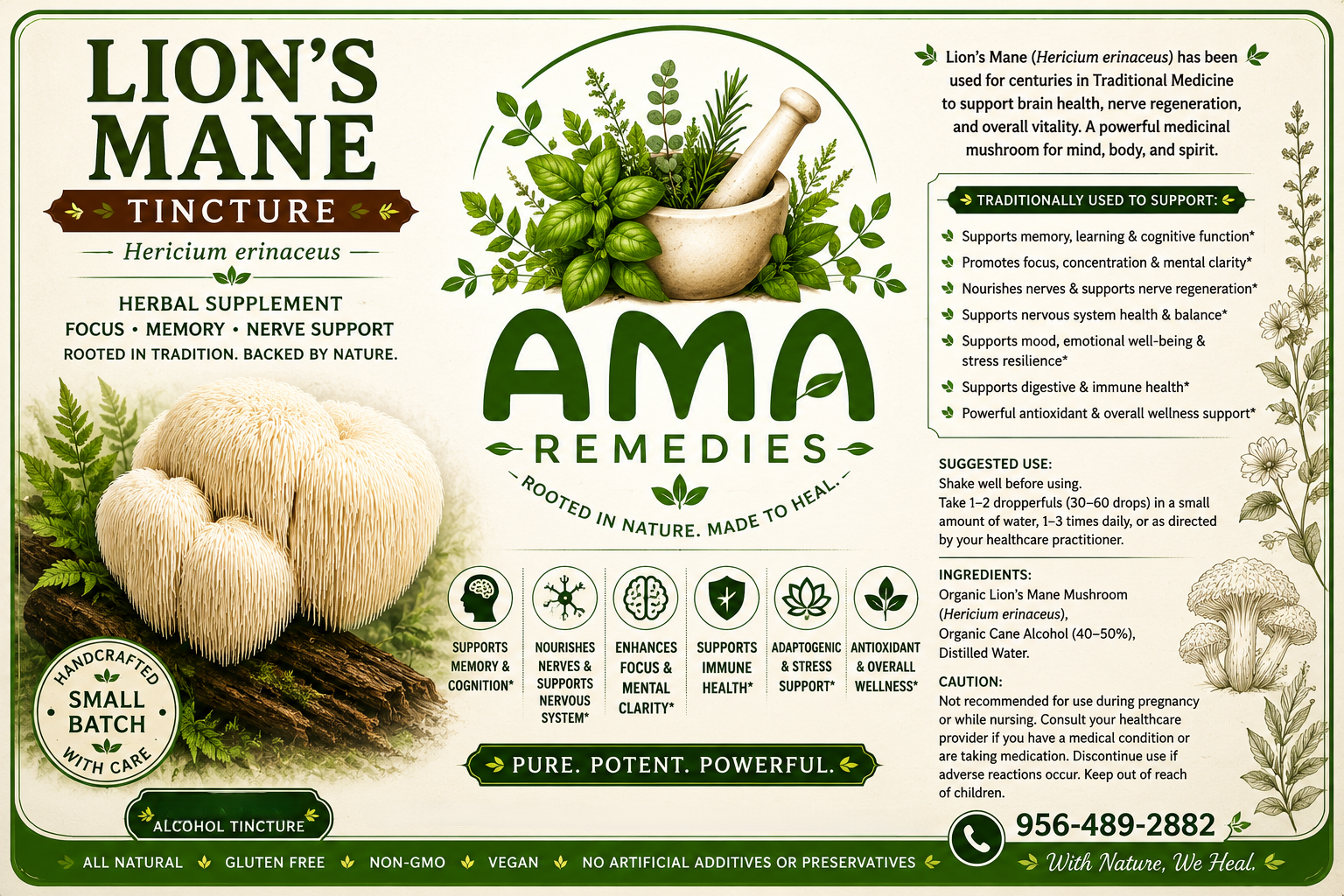 Lion's Mane (Medicinal Mushroom) Tincture (Hericium erinaceus)