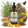Nettle Leaf Tincture (Urtica dioica)